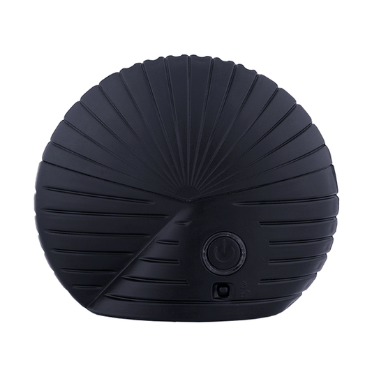 مبخرة الصدفة الإليكترونية